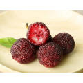 2021 Wholesale Good Quality Chinese Yang Mei Red Waxberry Sweet Red Bayberry